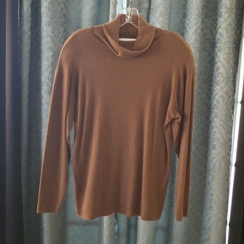 Brown Turtleneck Sweater